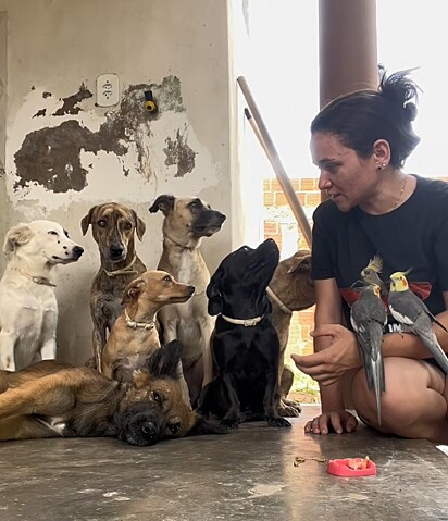 Larissa e a família Dona Puma.
