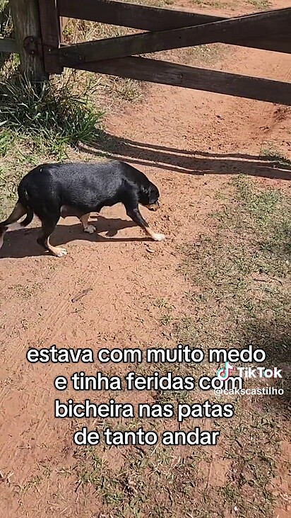 Mikaela estava perdida em uma estrada rural.