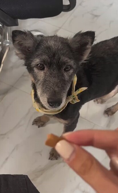 Com o tempo, ela foi se recuperando.