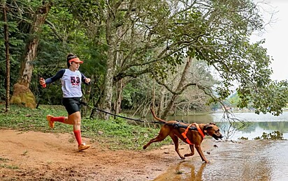 Bia e Dante, um cão da raça Rhodesian Ridgeback.