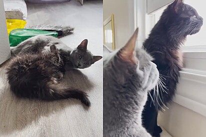 As duas se tornaram melhores amigas.