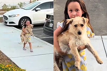  Menina se recusa a soltar cachorro que encontrou na rua e dá a melhor resposta à mãe que mandou deixá-lo.