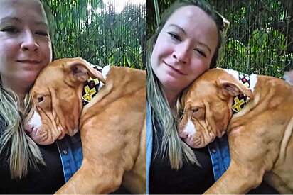 Na primeira oportunidade, cachorra Pitbull abraça voluntária de um jeito que ela não consegue mais soltá-la.