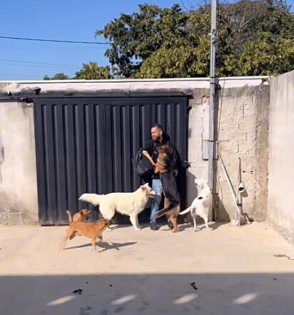 Marcos e os cães Solange, Tunico, Nazaré Tedesco, Thor, Maria do Bairro e Anitta.