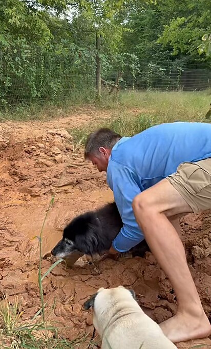 O resgate de Whitey. 