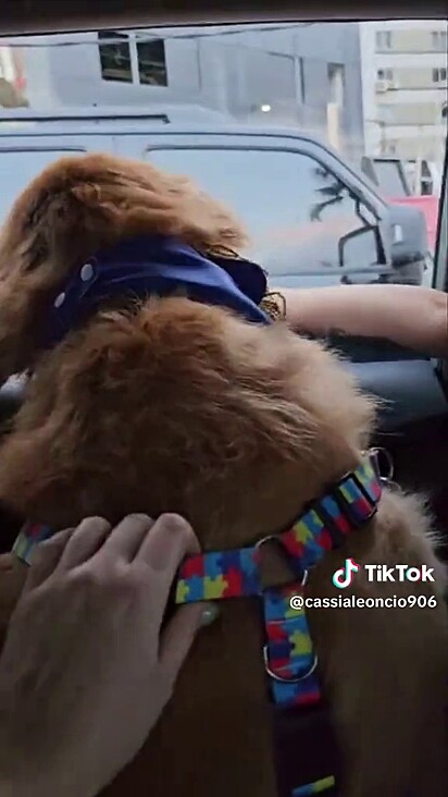 Muitos motoristas buzinaram durante o trajeto até a clínica.