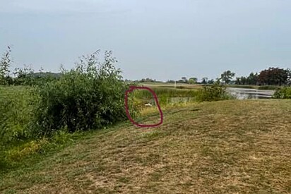 Resgate em campo de golfe salva dois ‘anjos preciosos’ deixados para trás