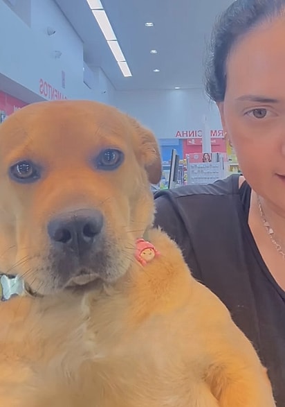A reação da cachorrinha Pipa enquanto era defendida pela tutora.