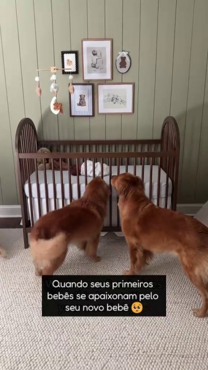 Winnie e Scarlett receberam Jack com muito amor.