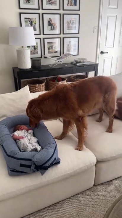 O pequeno completou a família.