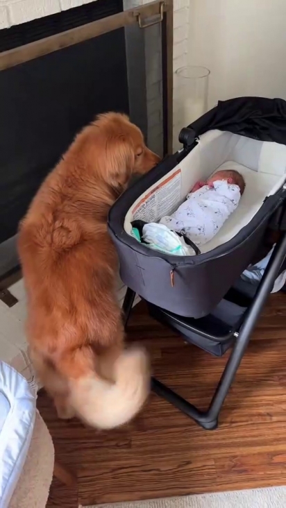 O bebê agora tem duas protetoras.