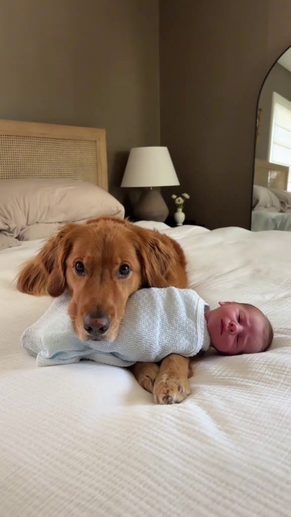 A família compartilhou registros no Tik Tok.