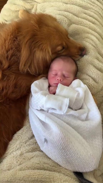 Agora Winnie e Scarlett podem ser encontradas onde Jack estiver.