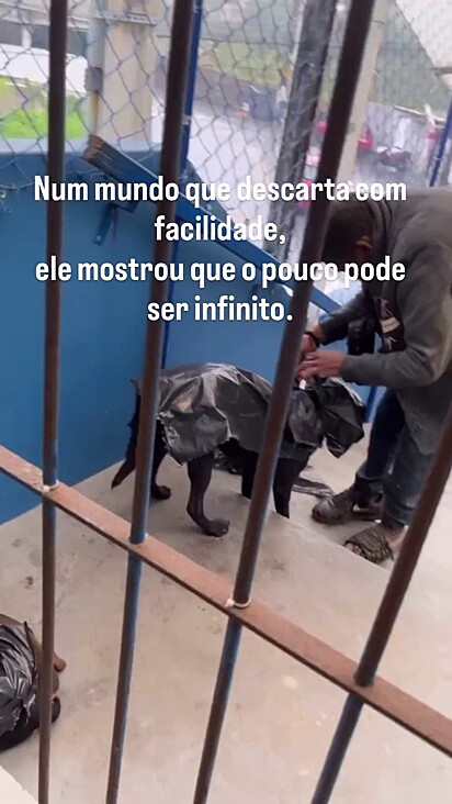 O homem cuida muito bem dos cães.