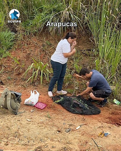 Nenhuma das alternativas parecia funcionar.