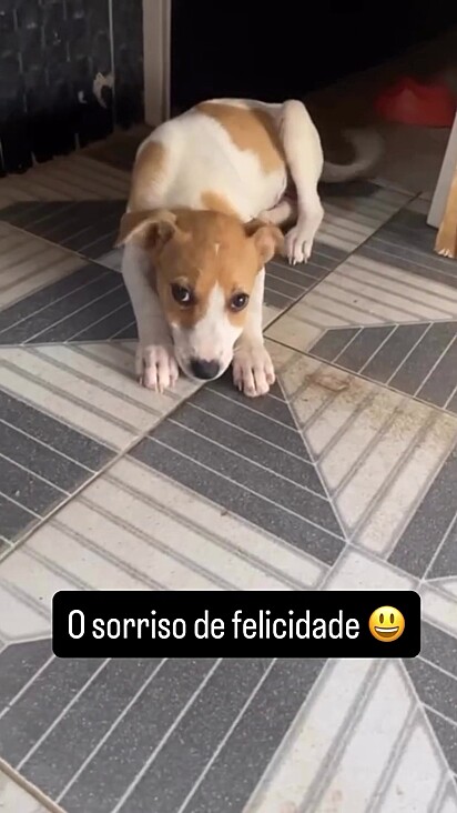Atualmente ela vive sorrindo.