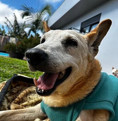 “O amor não chegou cedo, mas chegou forte”