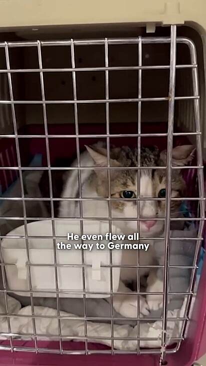 Para quem vivia nas ruas ele teve uma grande transformação.