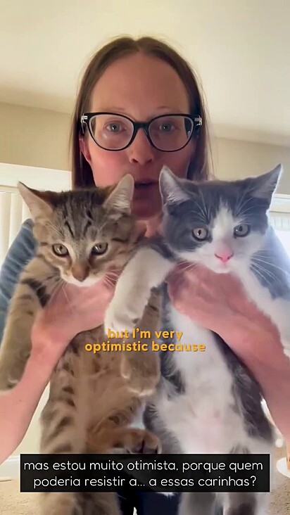 Carrie já encontrou lar para três dos quatro membros da família felina.
