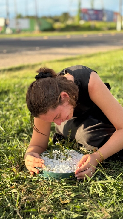 Além de espalhar as cinzas de Velminha na estrada, Brisa plantou uma árvore em sua homenagem.