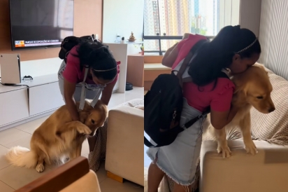 Brebote triste porque a amiga vai embora.