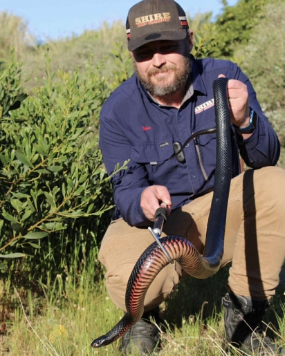 A cobra foi solta na natureza. 