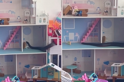 Crianças param brincadeira quando encontram intruso venenoso dentro de casinha de bonecas