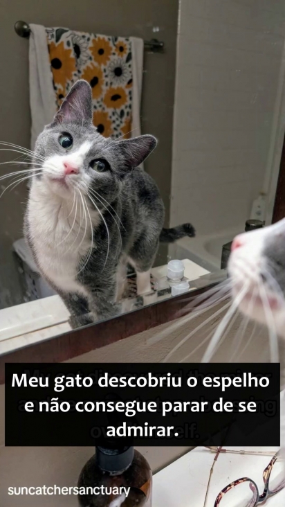 O felino encantou todo mundo com esse comportamento.