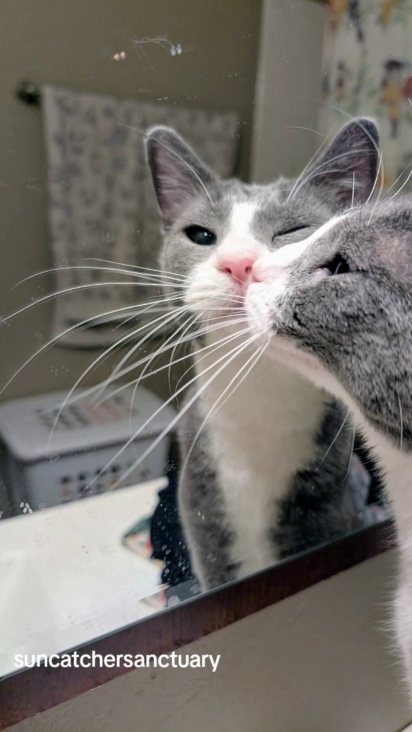 Moose tem muito amor próprio.