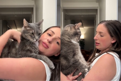 Gato estabelece limites enquanto dona tenta abraçá-lo - comportamento conquista e diverte a web.