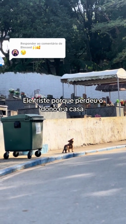 O cão chorava todos os dias.