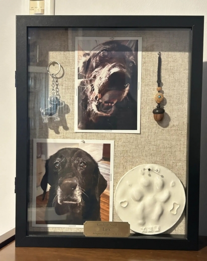 A família criou um memorial para o cão.