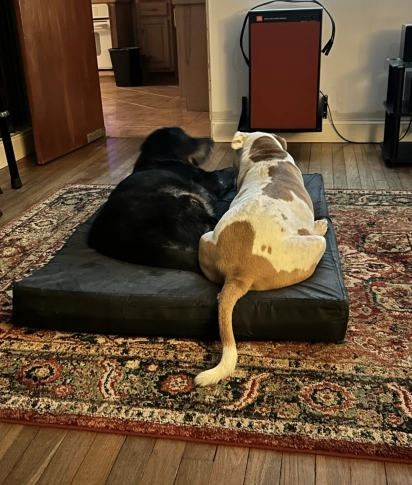 Lex e Vaughn se tornaram melhores amigos.