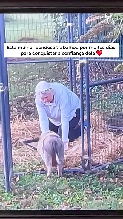 A moradora Karen Grimaldi passou dias ganhando a confiança de Petey.