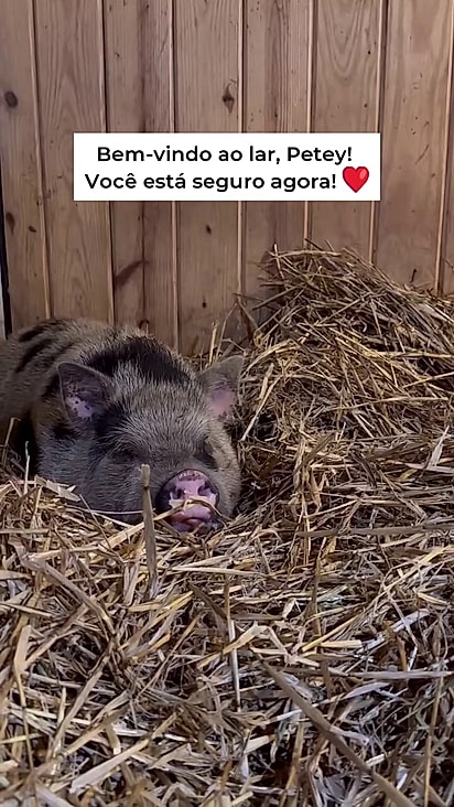 A chave para o resgate foi a paciência.