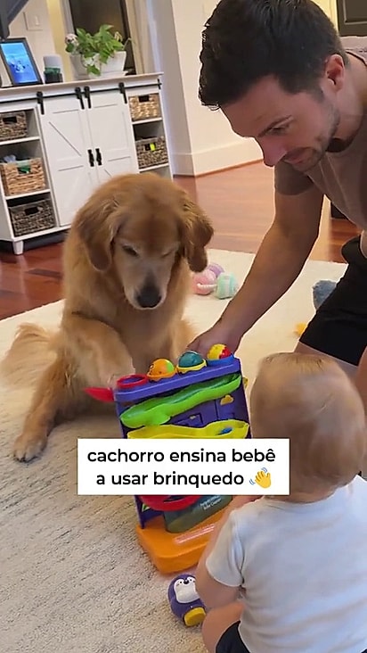 Diante da dificuldade do bebê, a golden retriever Ellie entra em ação e, com uma cutucada precisa do focinho, demonstra como o brinquedo funciona.