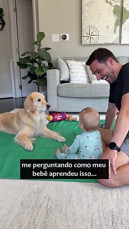  Em outro vídeo, a golden retriever Emma revelou ser a treinadora secreta de Connor, ensinando-o a rolar a bola por meses.