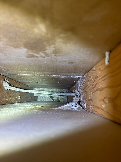 O gatinho pode ser visto bem no fundo da imagem.