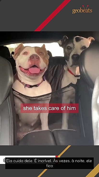 Lucy transformou a rotina da família para melhor.