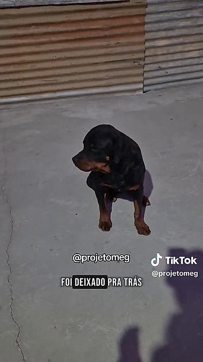 Damião estava assustado e muito magro.