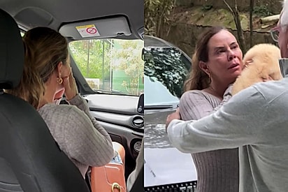 Homem realiza sonho de esposa apaixonada por cães golden retriever e essa foi a reação dela