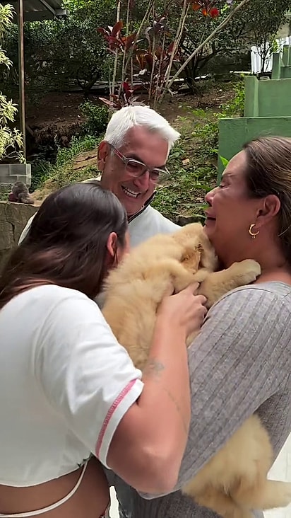 Christianne pensava que iriam comprar algumas plantas.