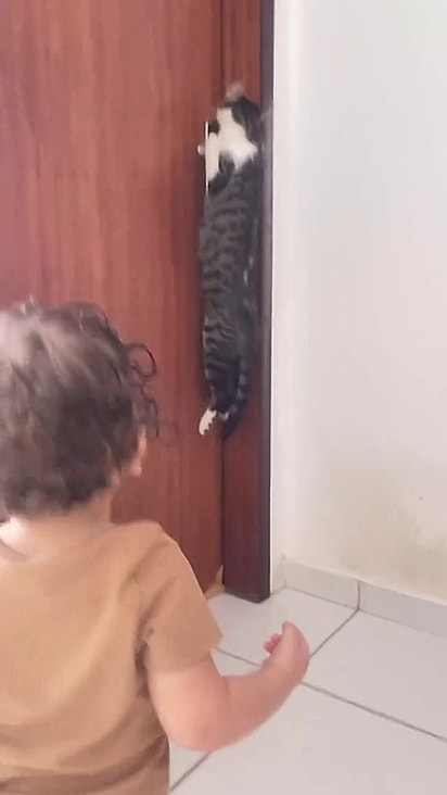 A felina não resistiu e abriu a porta para Zayan.
