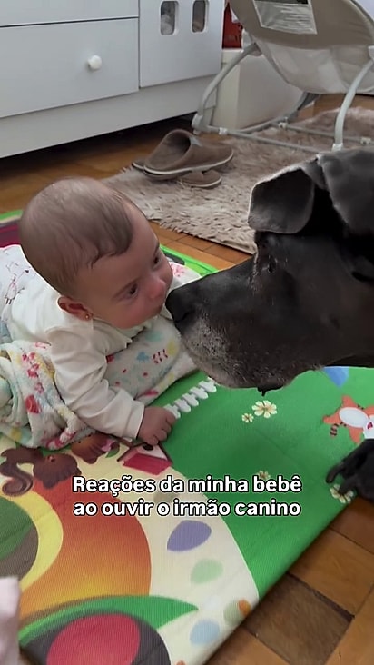 Lebron e Maitê estão se tornando grandes amigos.