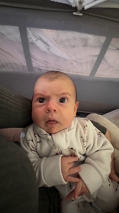 Maitê está acostumada com os latidoes do dogue alemão.