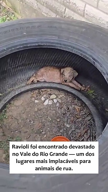 Ele tinha muito vontade de viver.