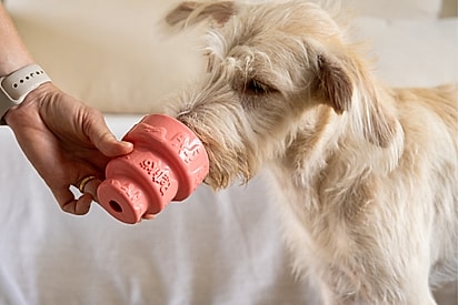 Brinquedos Recheáveis: permitem que a criança ajude a rechear com petiscos e participe da entrega ao pet.