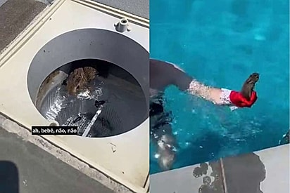 Casal curtia dia lindo na piscina - até encontrar alguém preso no filtro da piscina