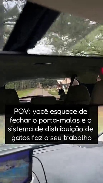 Lindsey não acreditou no que viu.
