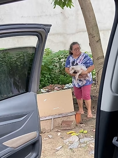 Dona Ocileide pegou a cachorrinha e levou para casa.
